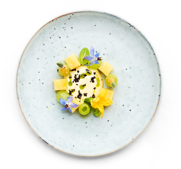 Ein modernes Gourmetgericht mit gelben Würfeln, grünen Scheiben, essbaren Blüten und Kräutern auf einem weißen Teller - perfekt für professionelles Catering für Events in Köln.