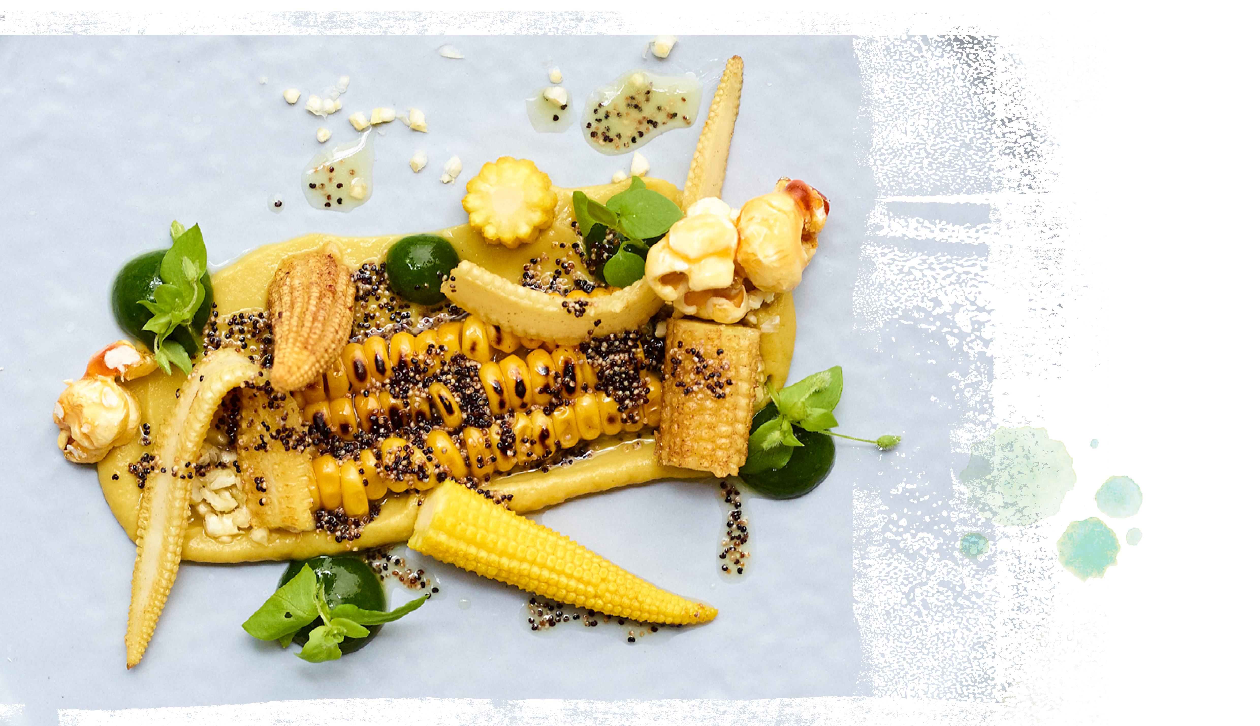 kirberg-catering_bild16