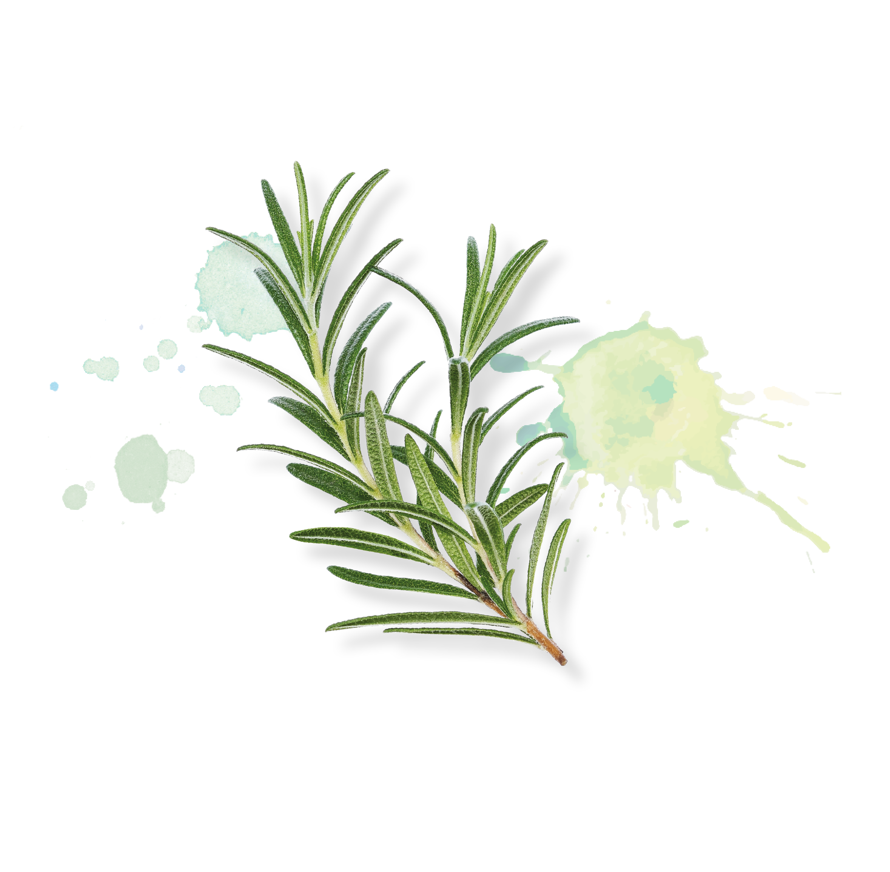 kirberg-catering_bild20