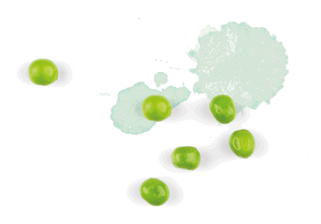 Sechs grüne Erbsen, verstreut neben einem Haufen grünen Granulatpulvers auf weißem Hintergrund, unterstreichen die Frische der regionalen Produkte im Eventcatering.