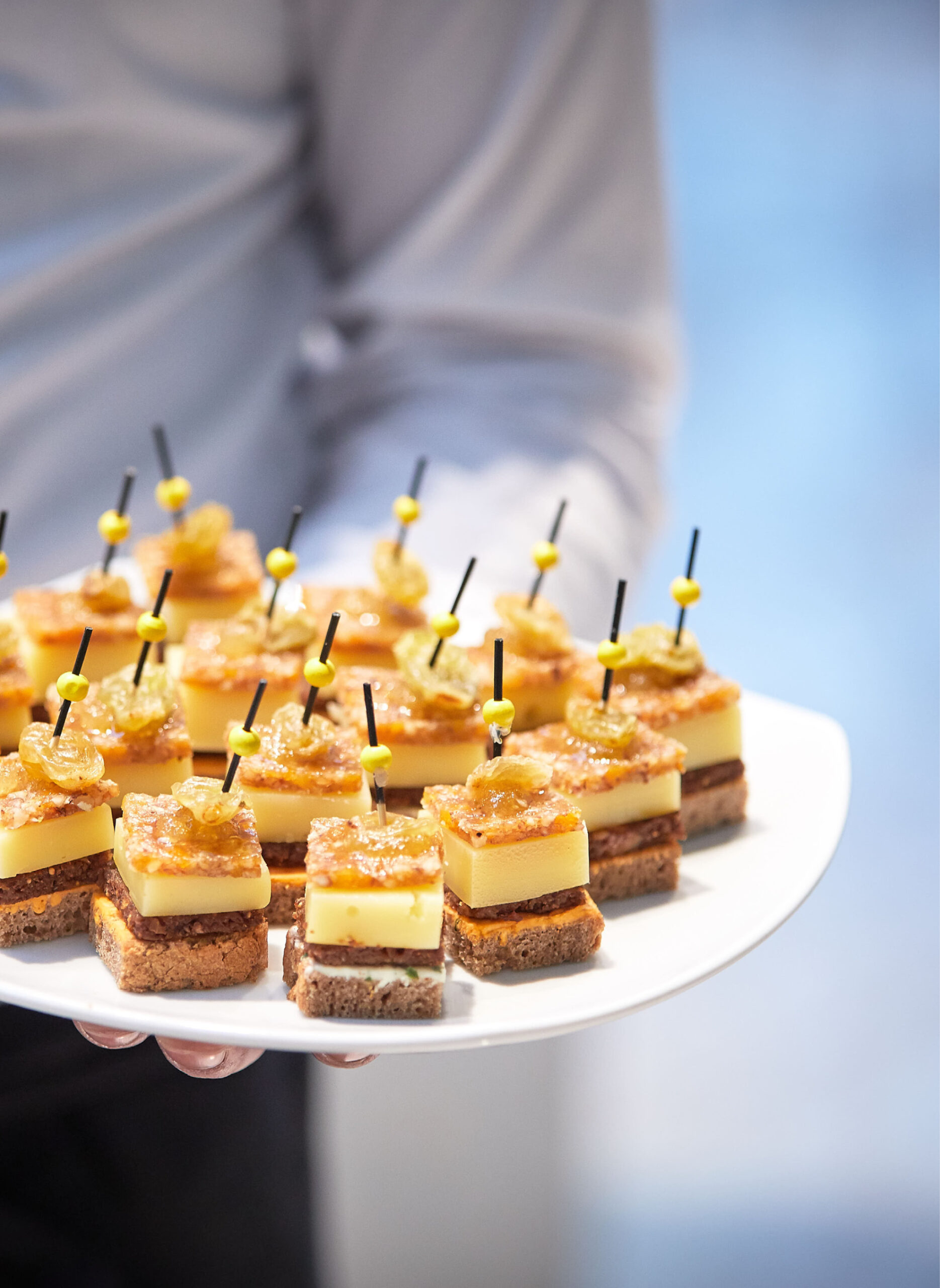 Eine Person hält eine weiße Platte mit fein säuberlich angeordneten, mundgerechten Gourmet-Häppchen auf Zahnstochern, perfekt für Eventcatering für besondere Anlässe.