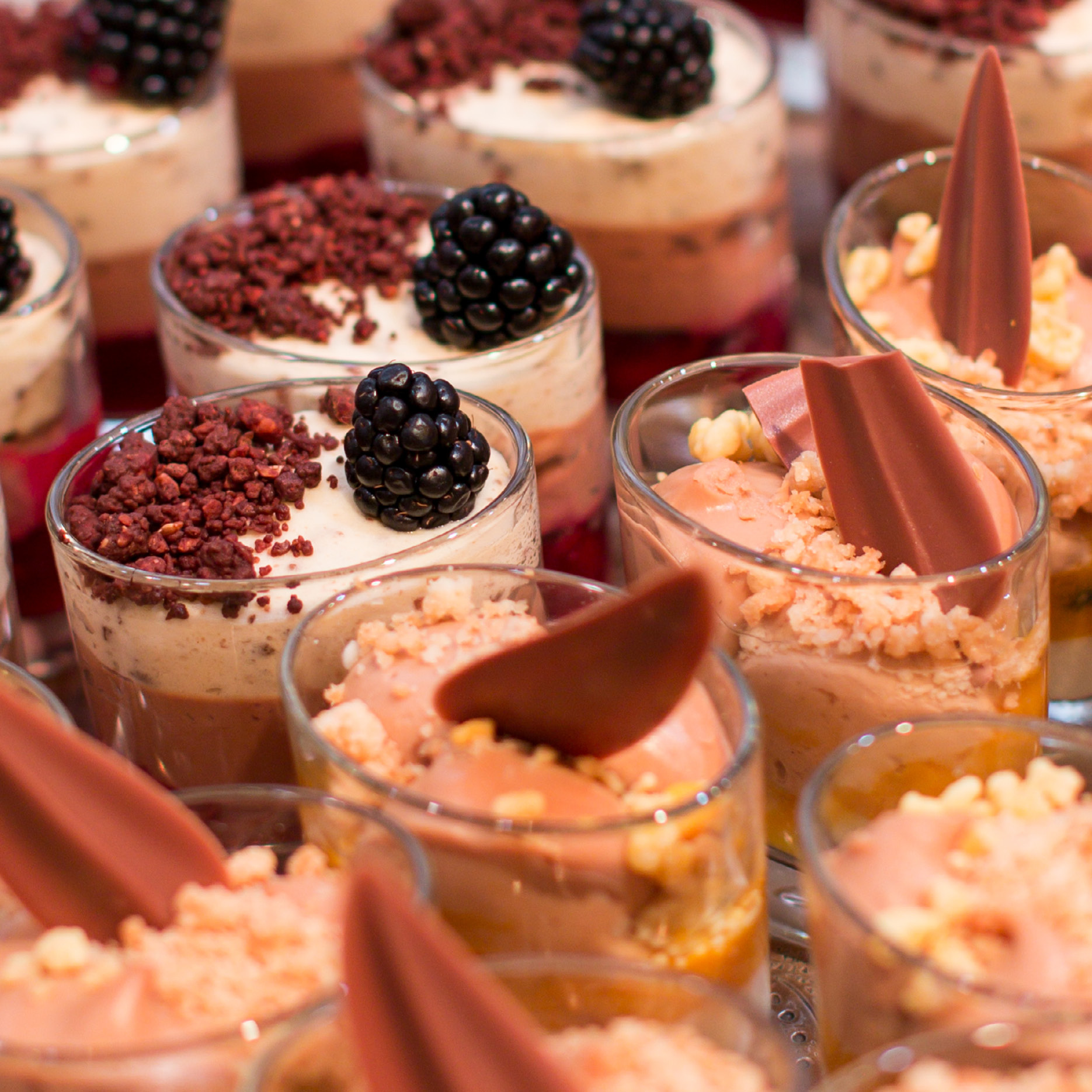 Gemischte Dessertbecher mit Schokolade, Beeren und Streuseln, dicht aneinander gereiht - ideal für das Messecatering bei Veranstaltungen.
