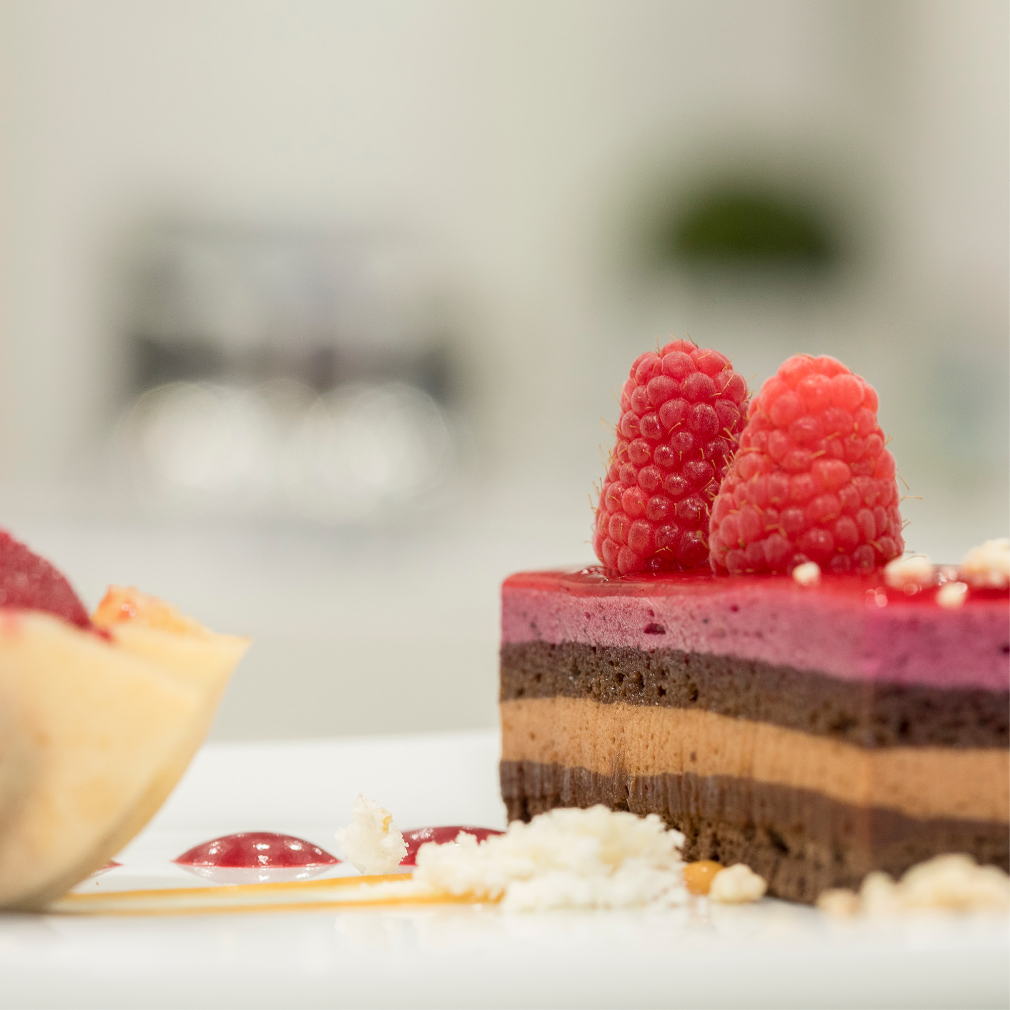 Schokoladen-Himbeer-Mousse-Torte, perfekt für das Messecatering für Veranstaltungen, mit frischen Himbeeren garniert und elegant auf einem weißen Teller serviert.