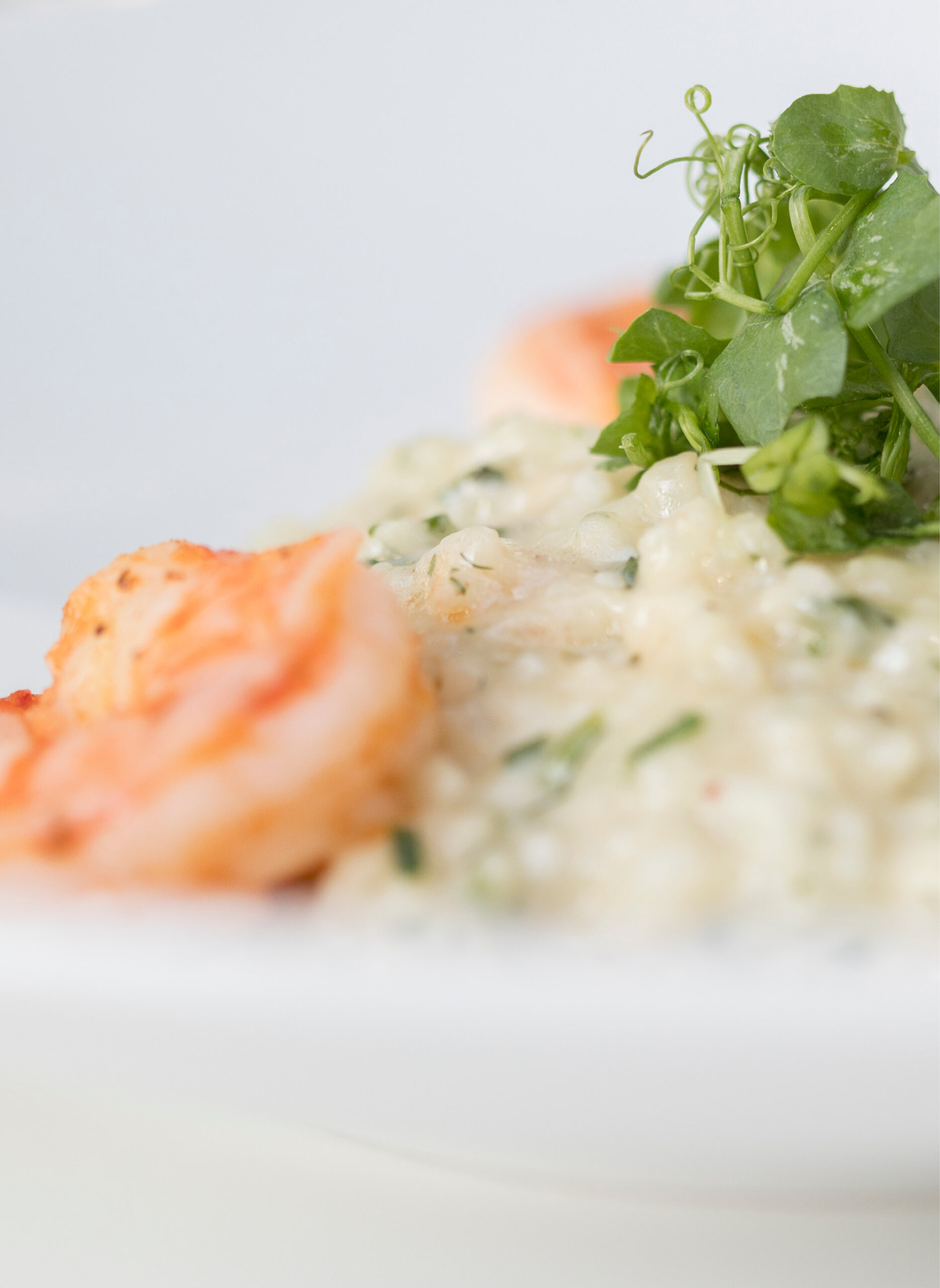 Nahaufnahme von Krabbenrisotto garniert mit frischem Grün auf einem weißen Teller, ideal für das Messecatering für Veranstaltungen.