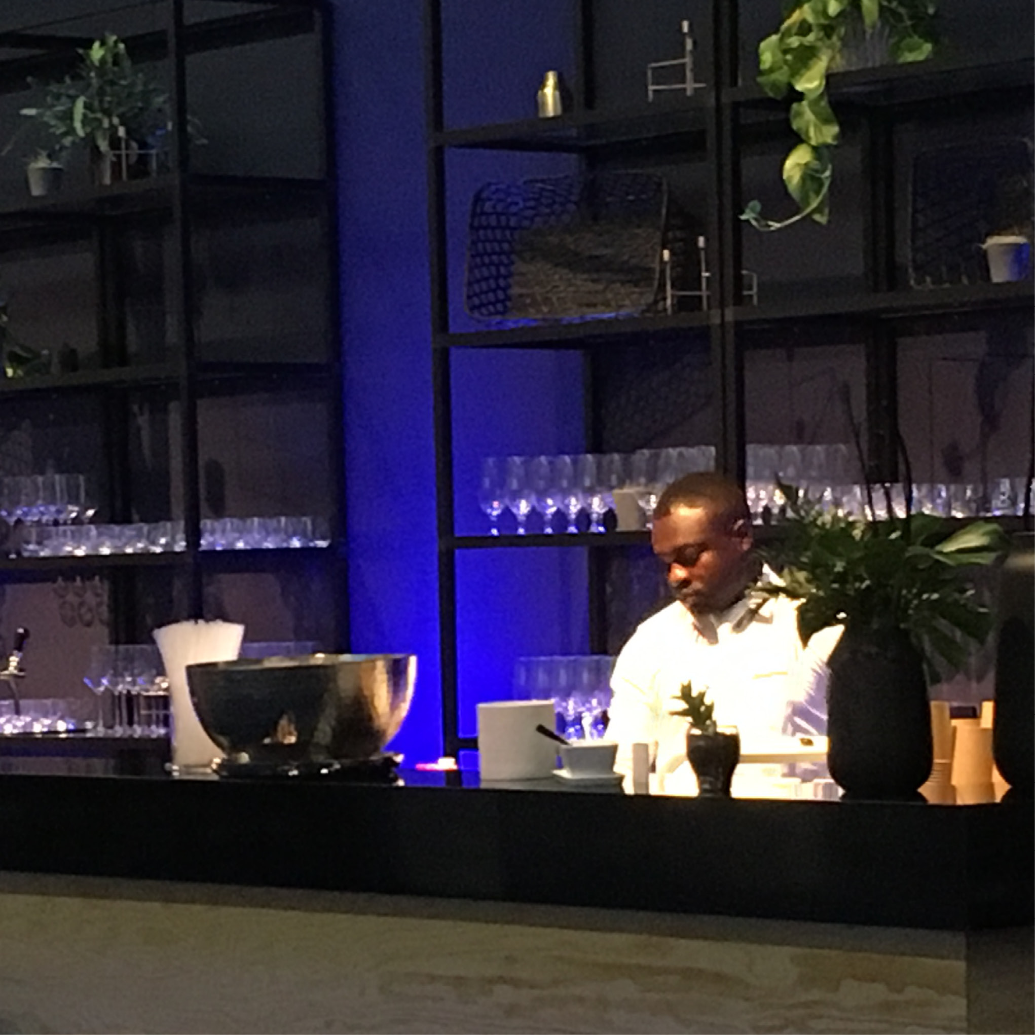Ein Barkeeper bereitet die Drinks hinter einer modernen Bar mit Gläserregalen und Pflanzen zu, die mit blauem Licht beleuchtet ist - perfekt für Catering für Tagungen und Konferenzen.