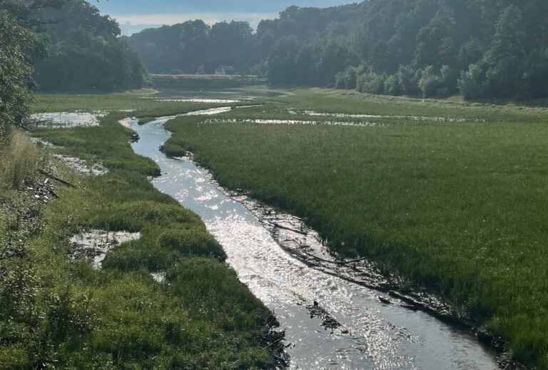 Ein gewundener Bach fließt unter einem strahlenden Himmel durch eine grasbewachsene Wiese mit Bäumen und Hügeln im Hintergrund und schafft eine malerische Kulisse in der Nähe des Haus Diepental für Feiern.