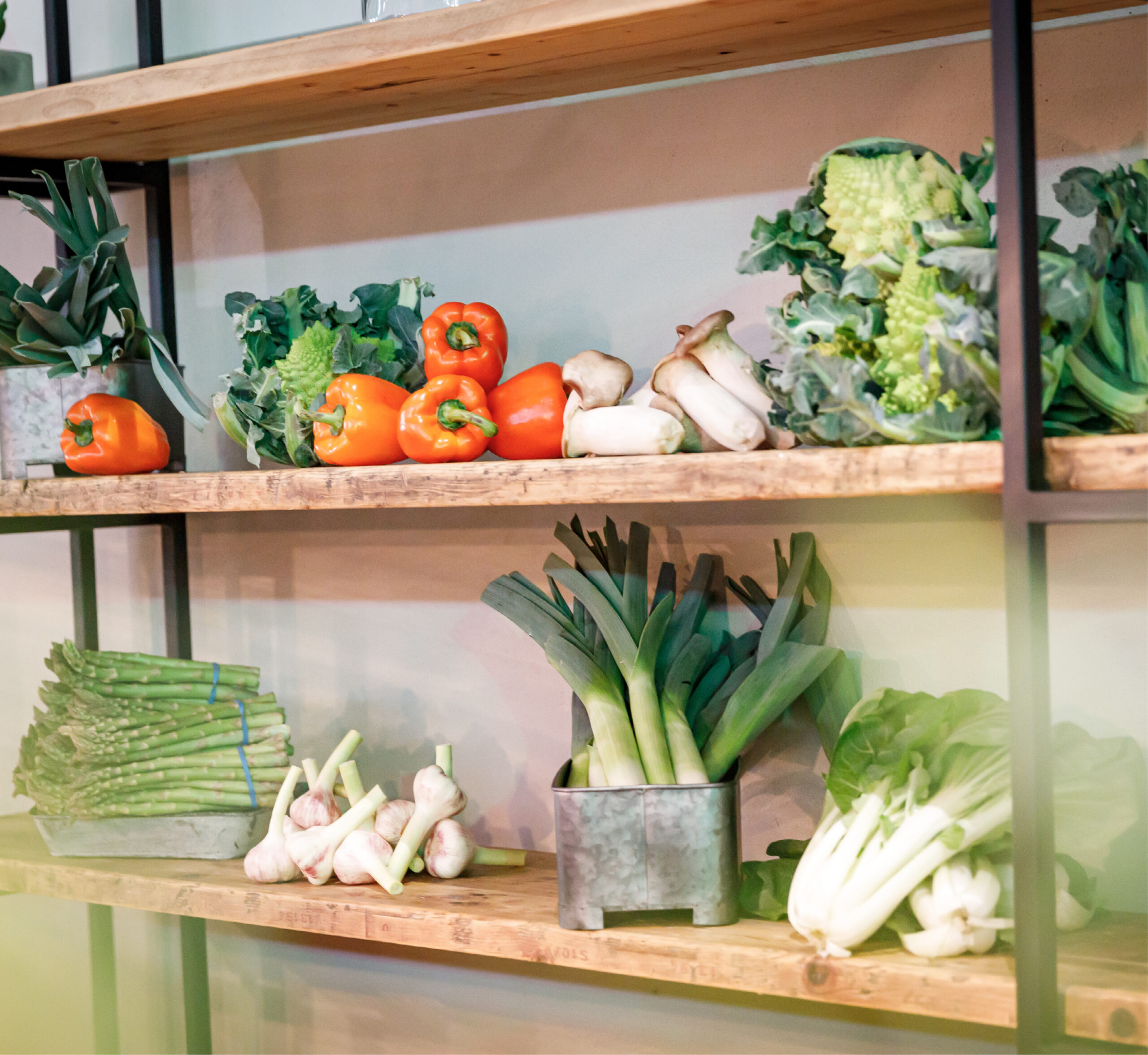 Auf Holzregalen wird frisches Gemüse wie Paprika, Brokkoli, Spargel, Lauch, Knoblauch und Pilze präsentiert – ideale Zutaten für das Catering für Tagungen und Konferenzen.